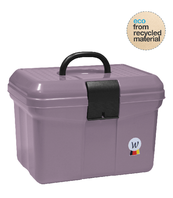 1541019_20 coffre pansage violet