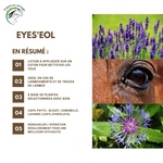 eyes-eol (1)