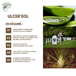 ulcer-eol (1)
