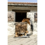 coussin-velours-diego-louna (1)
