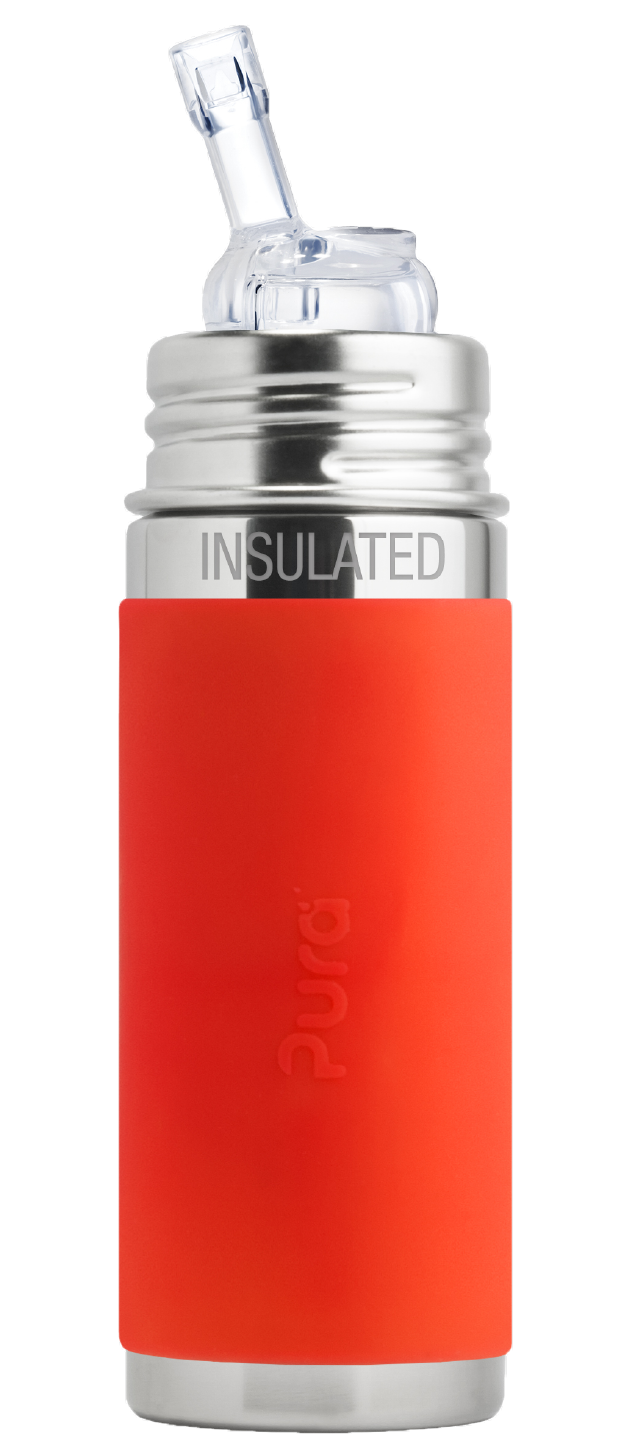 Gourde inox brossé : Achat en ligne de Gourde sans BPA