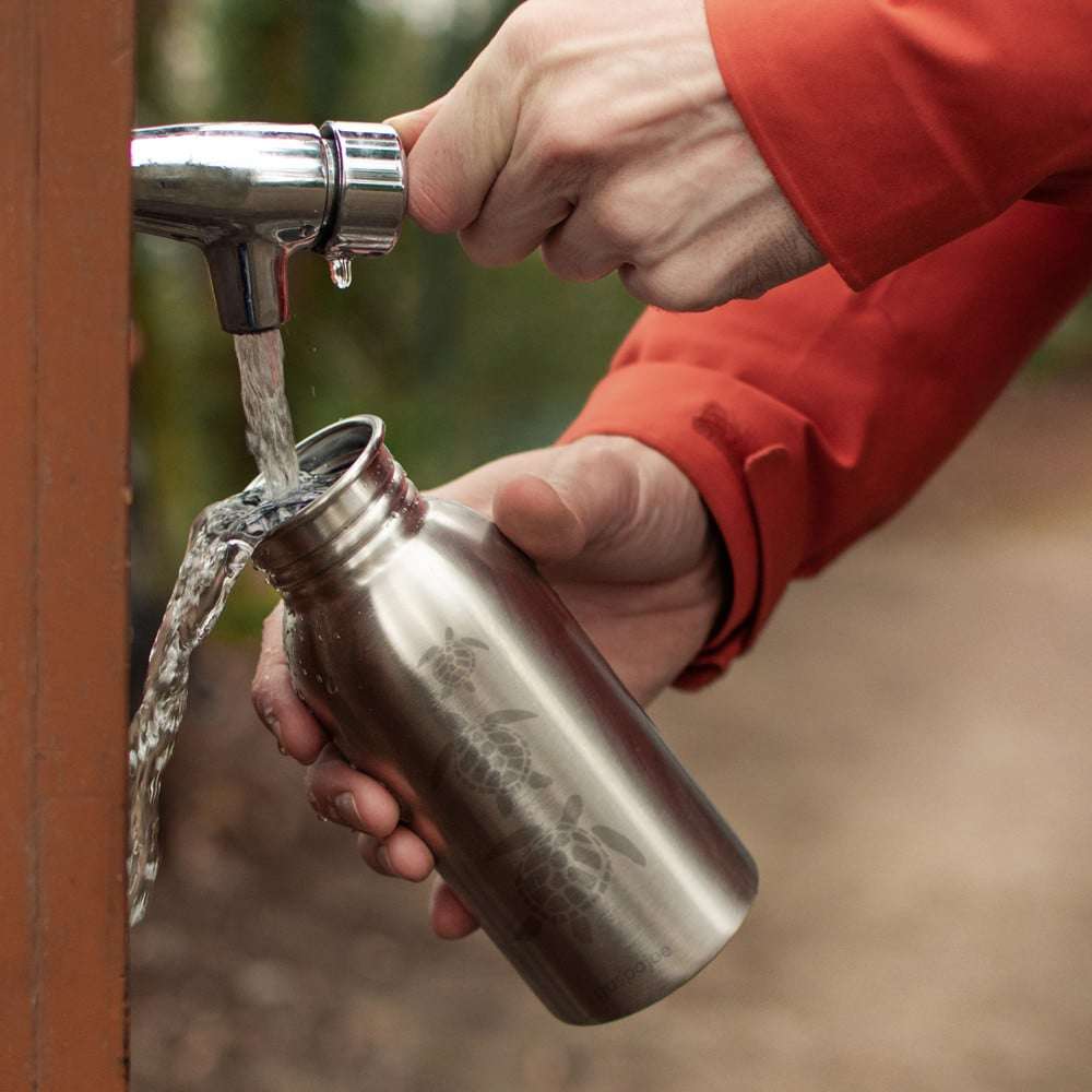 gaspajoe sporty tortue  500 ml - bouteille inox