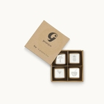 4-glacons-inox-gaspajoe-ic4