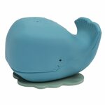 baleine-hevea
