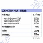 composition-detaillee-d-une-gelule-de-nutribiotique-8-milliards-d-ufc-de-probiotiques-inuline-pissenlit-et-vitamine-b2