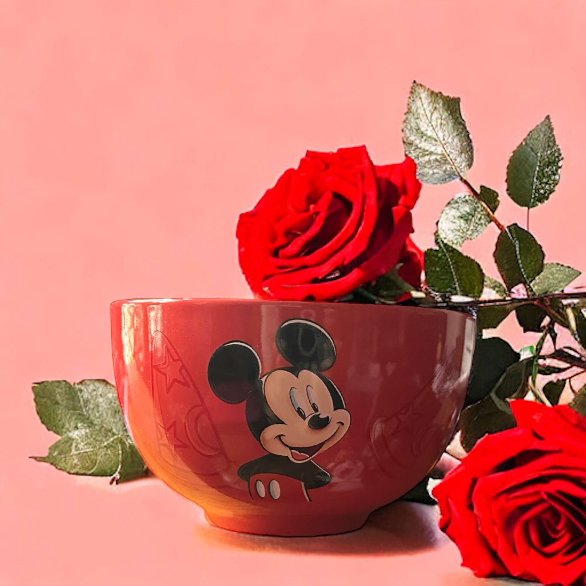 Disney - Mickey Mouse : Bol portrait