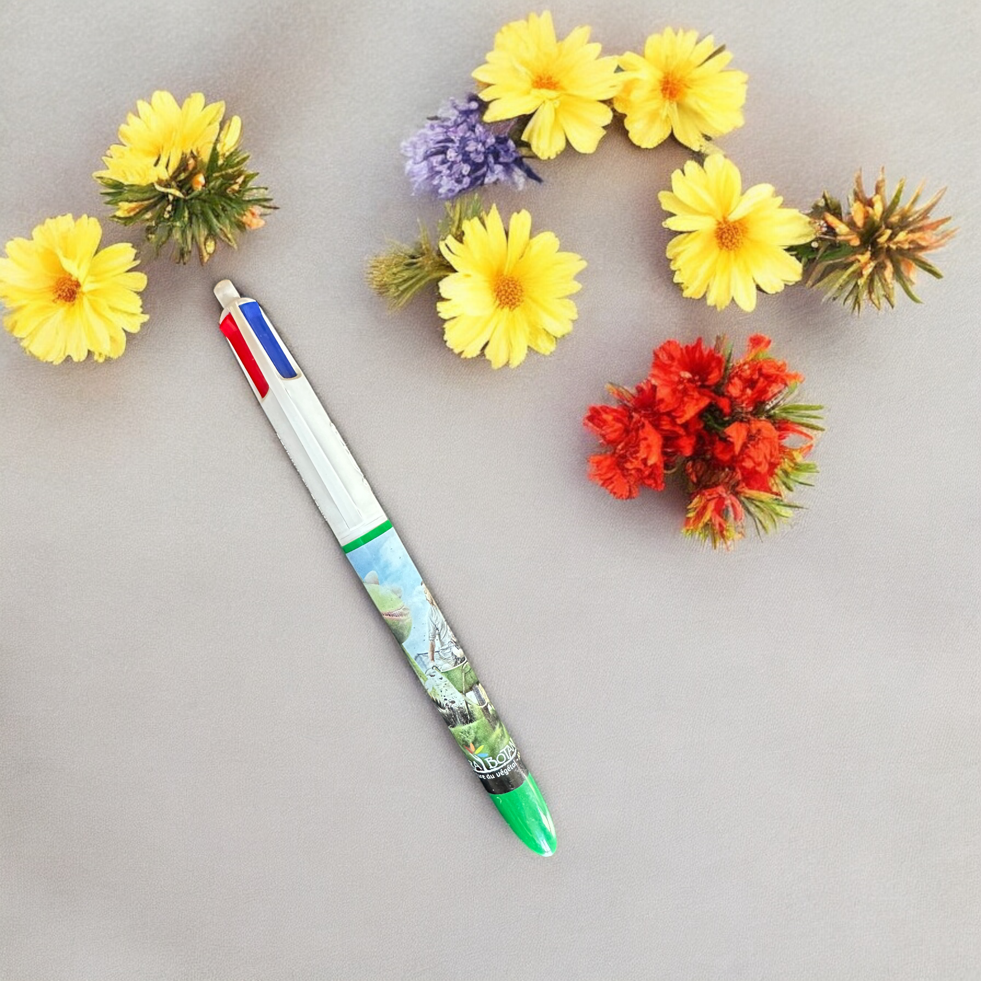 Terra Botanica : Stylo BIC 4 couleurs "attractions" pen - crayon - le palais des goodies