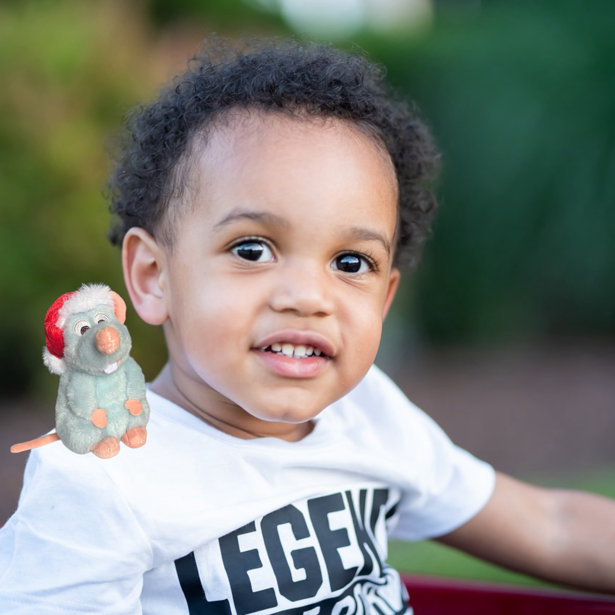 2072030250057 - le palais des goodies