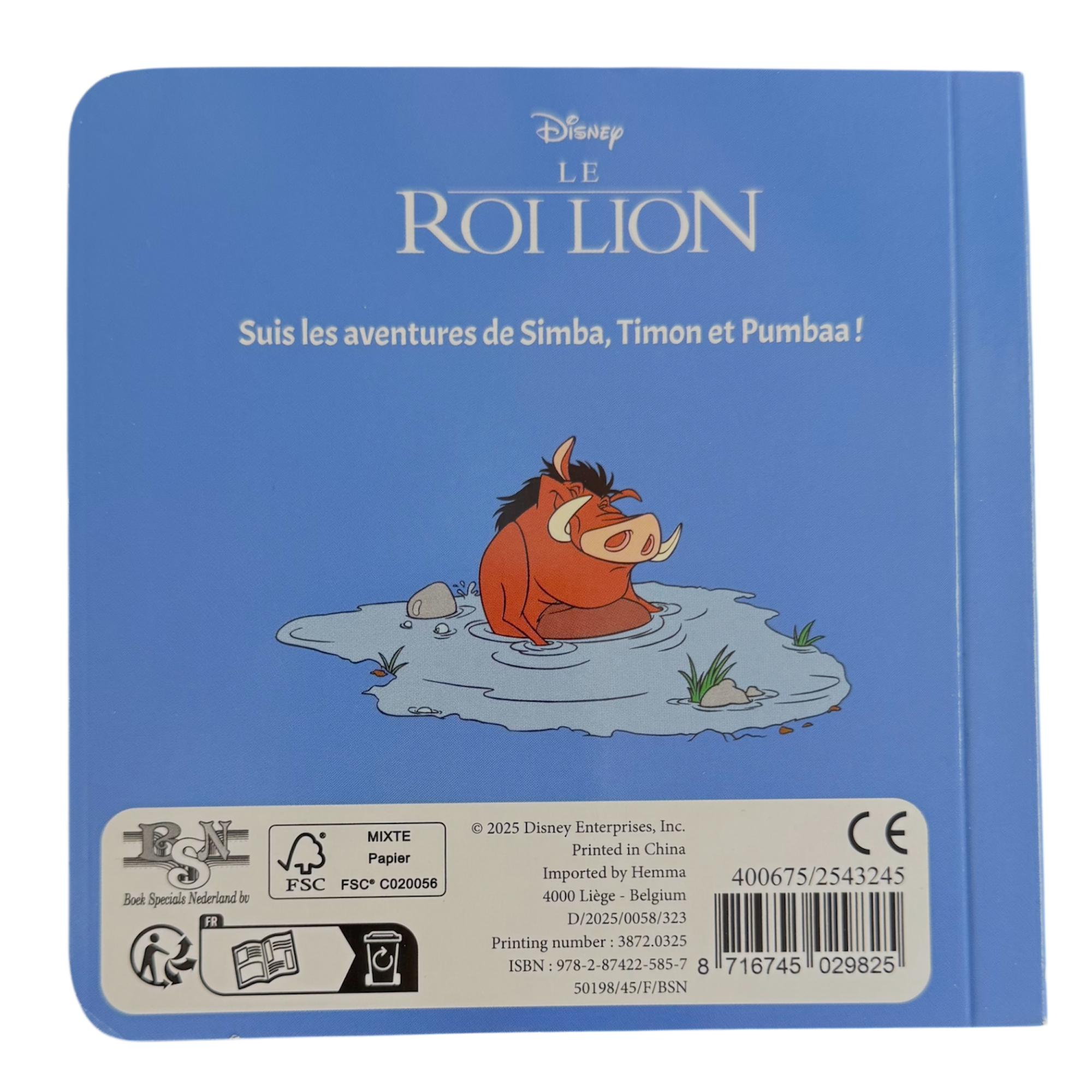 Disney - Le roi Lion : Livre Simba et la rivière - le palais des goodies
