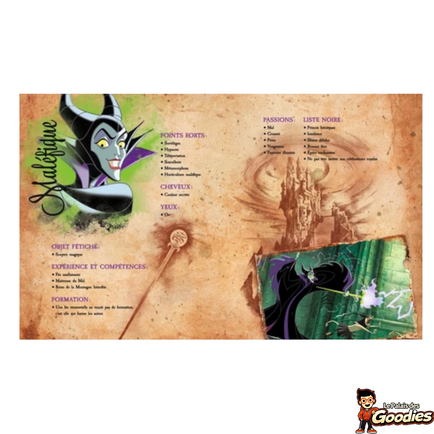 Disney - Livre : Le guide des Vilains