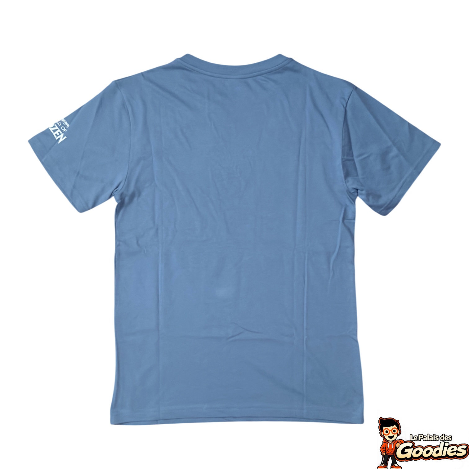 Disney - La reine des neiges : T-Shirt
