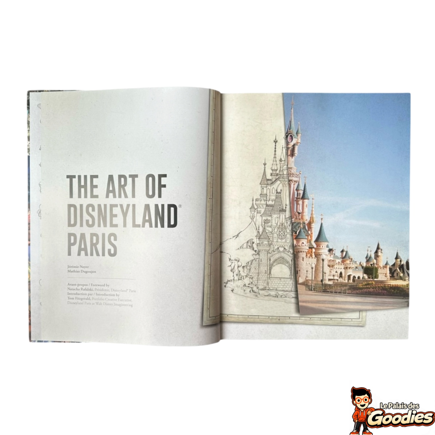 Livre - The Art of Disneyland Paris : Édition collector 30 ans