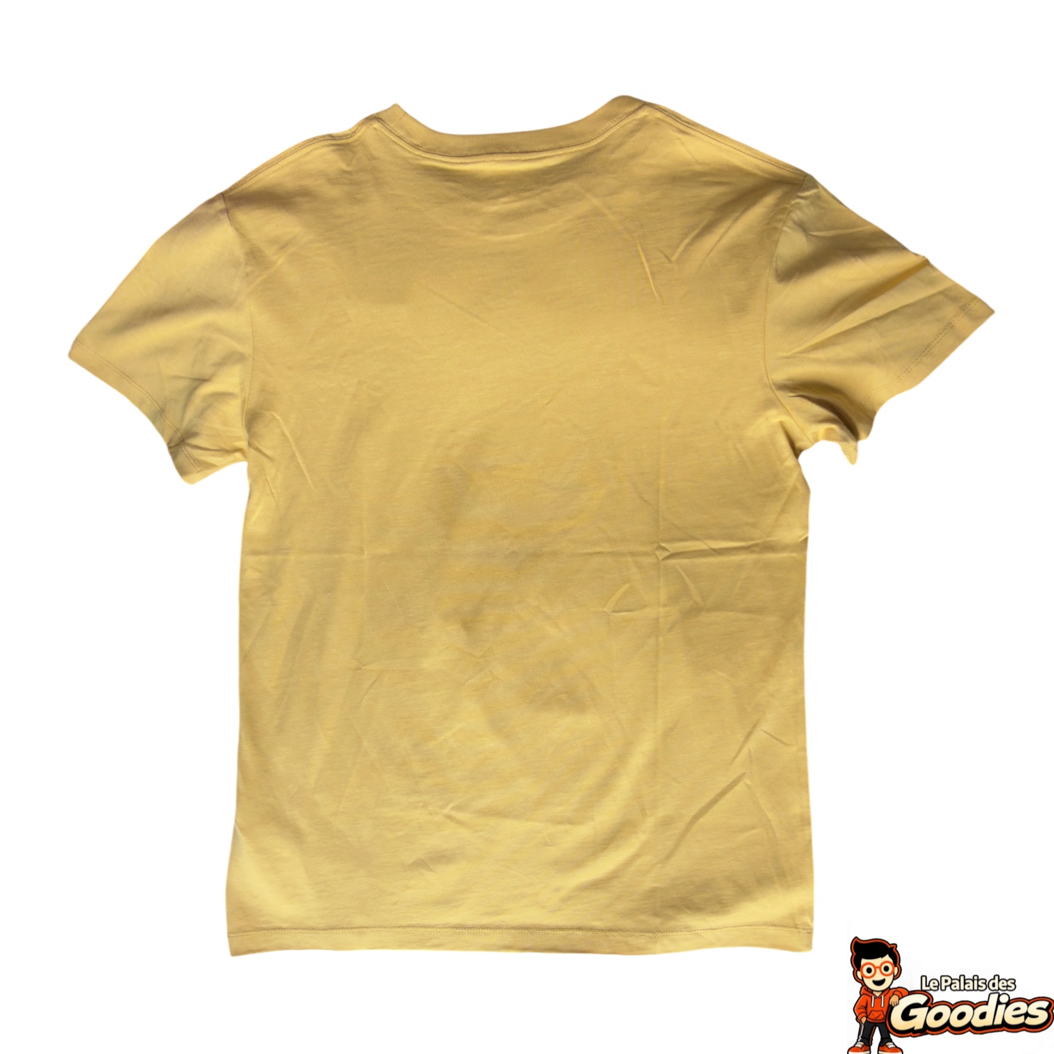 Disney Pixar - Coco : T-shirt brodé Miguel, Héctor et Dante