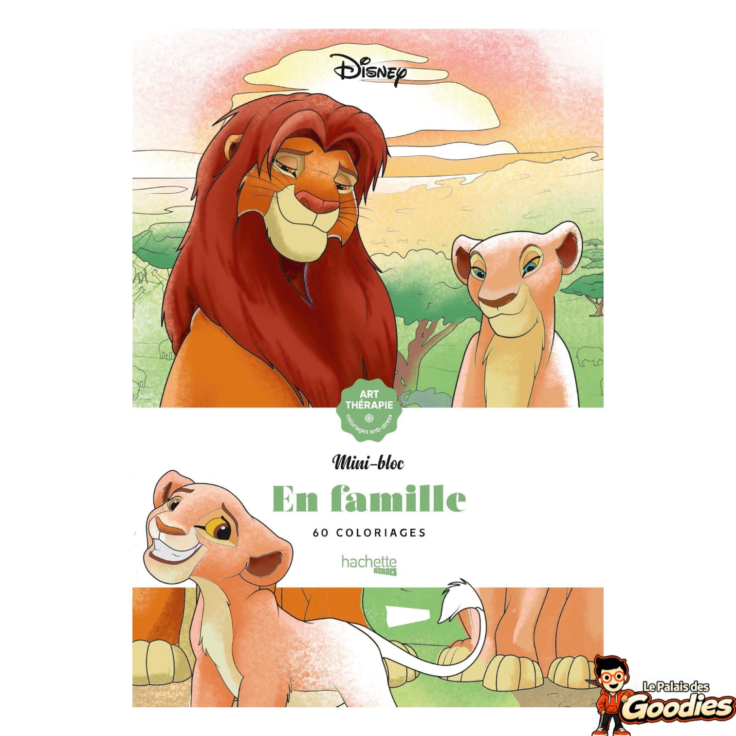 Disney - Art thérapie : Mini-bloc de coloriages "En famille"