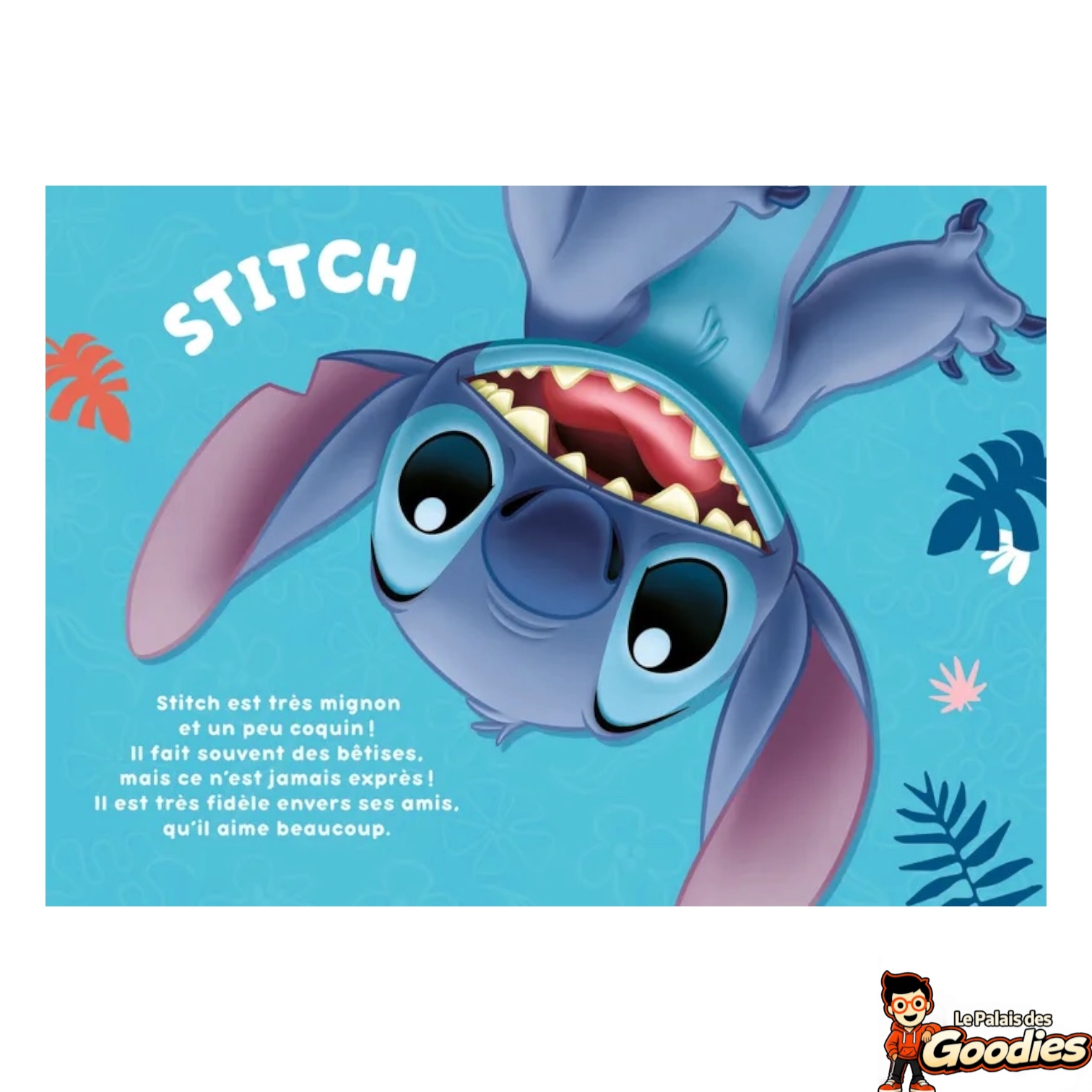 Hachette - Stitch : Mes premiers romans tome 1, La rencontre