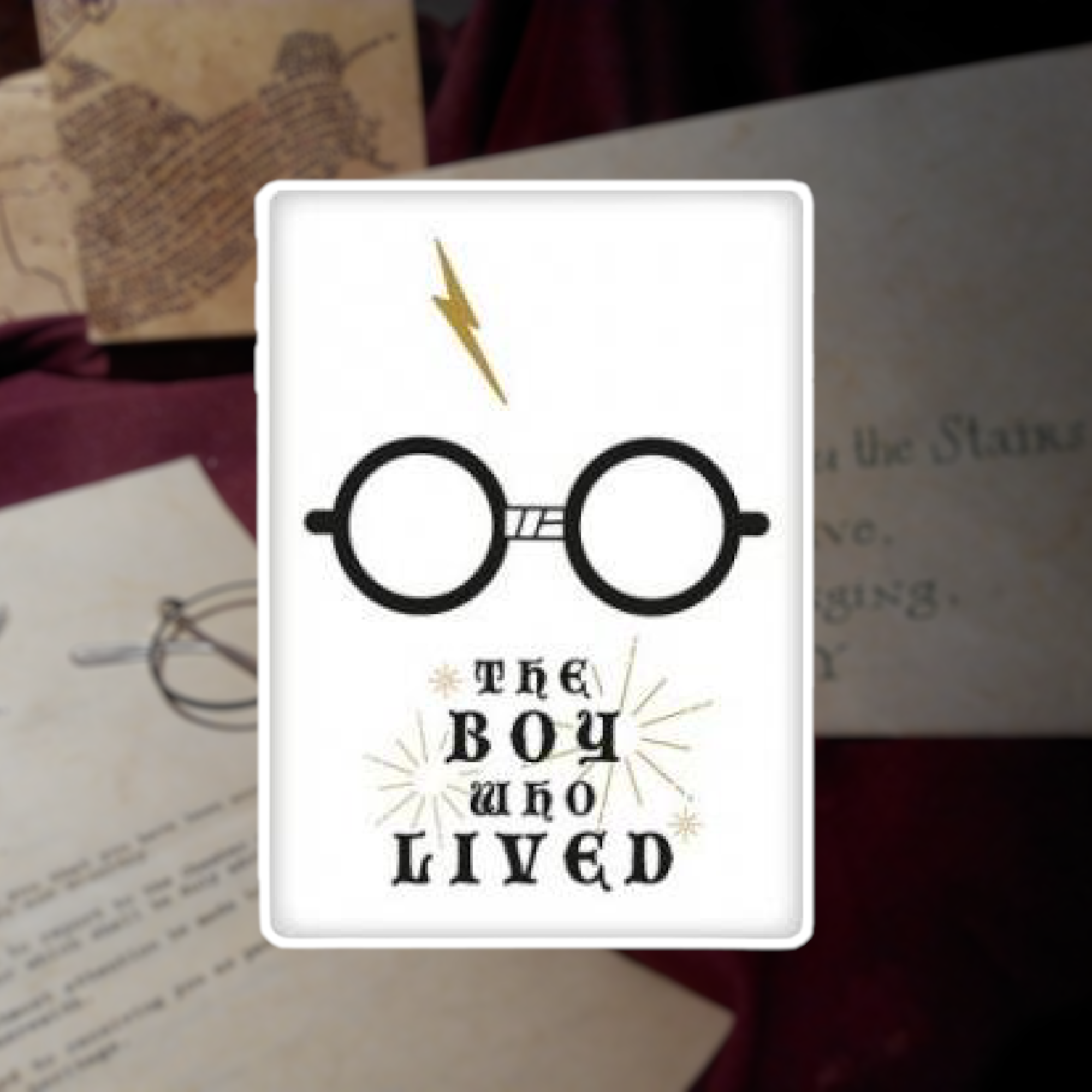 Warner Bros - Harry Potter : Magnet Boy who lived