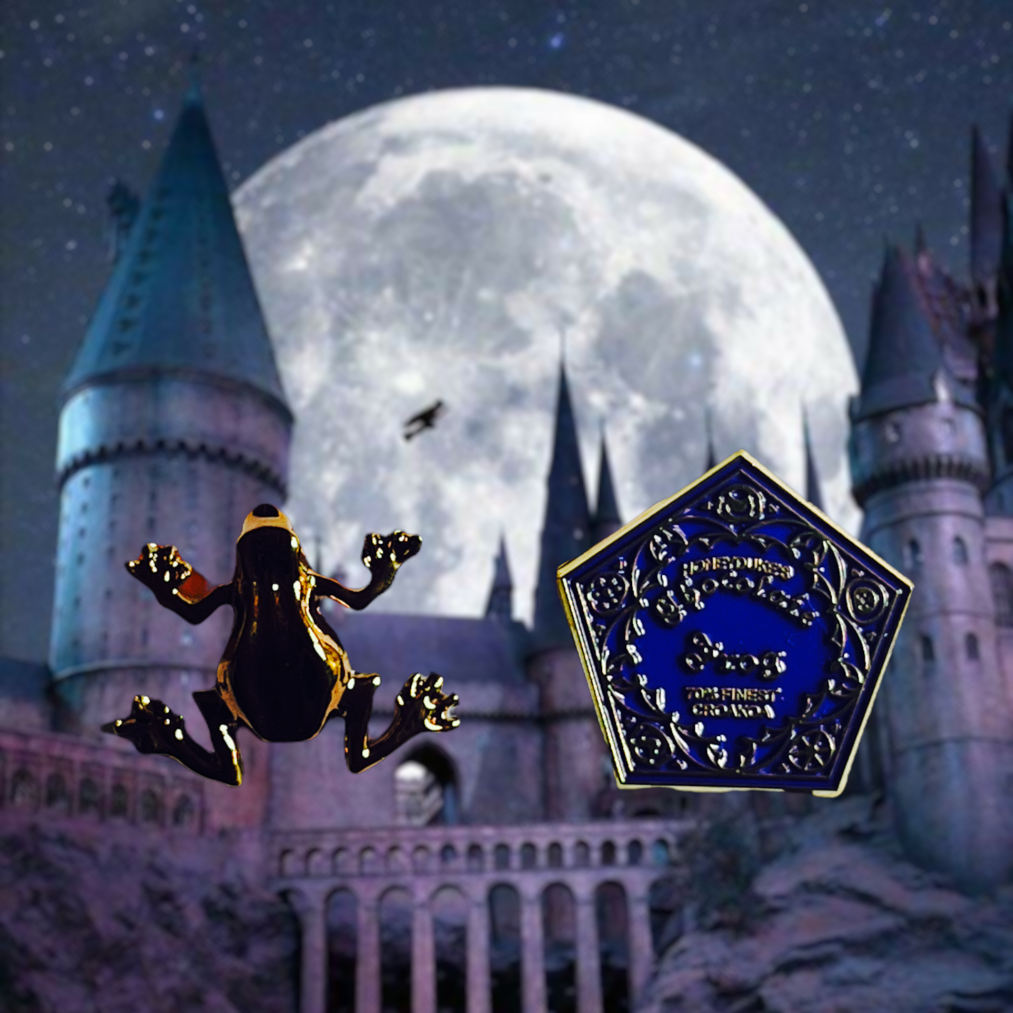 Harry Potter - Chocolate frog : Pin\'s en métal