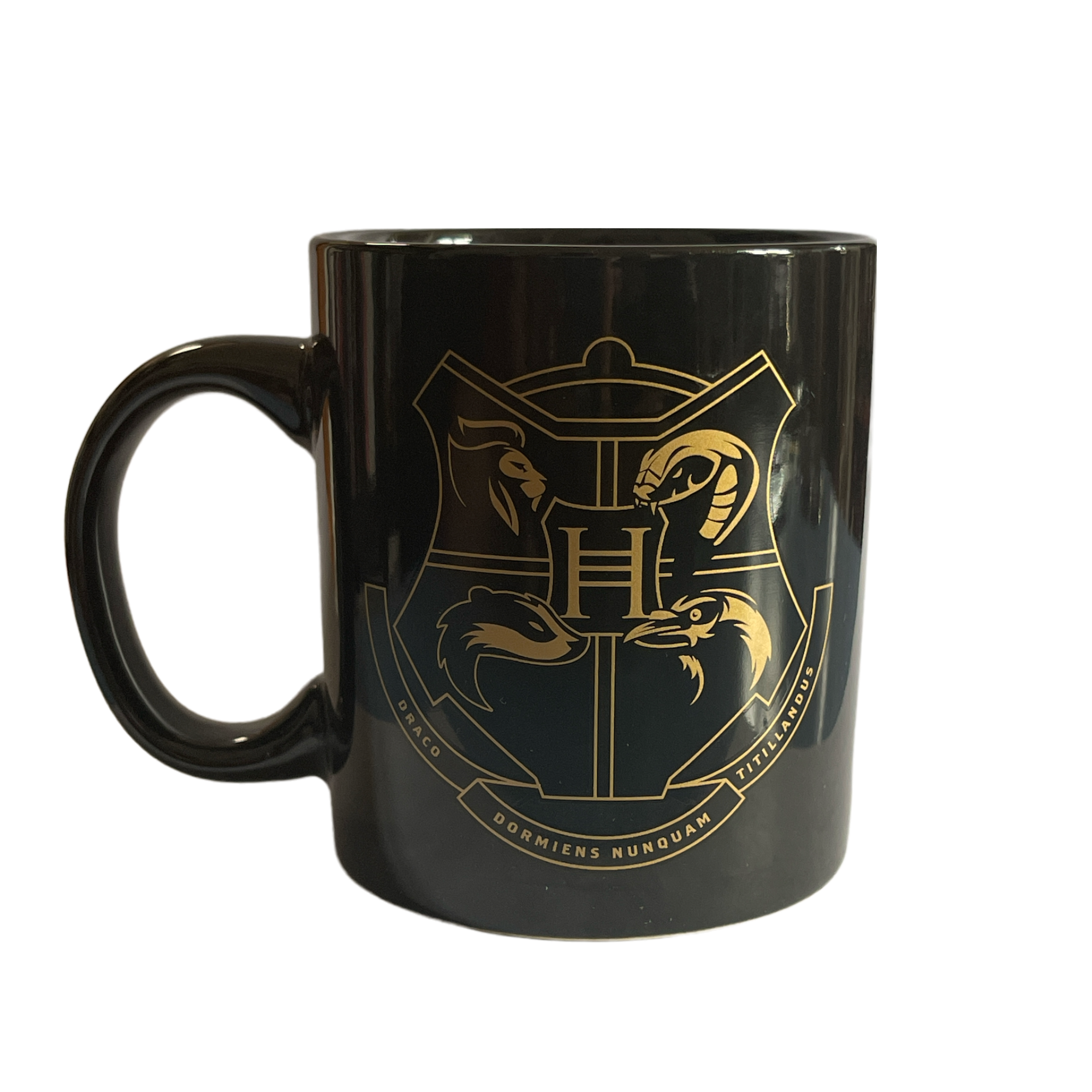 Mug thermo-réactif Harry Potter Magic Portrait