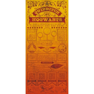 HARRY POTTER - QUIDDITCH ART - ART PRINT COLLECTOR '42X19'