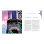 Livre : Disneyland Paris célèbre 100 ans de Disney - le palais des goodies