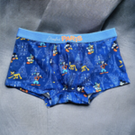 Disney - Mickey Mouse : Boxer Paris le palais des goodies