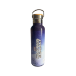 Marvel - Les gardiens de la galaxie : Bouteille Isotherme Groot - le palais des goodies