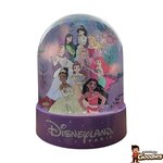 Disney Princess : Waterball