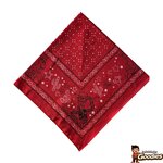 Disney Pixar - Toy Story : Bandana