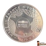Futuroscope - Lapins Crétins : Médaille Monnaie de Paris en couleur