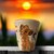 Disney - Le roi lion : Gobelet « Simba » le palais des goodies