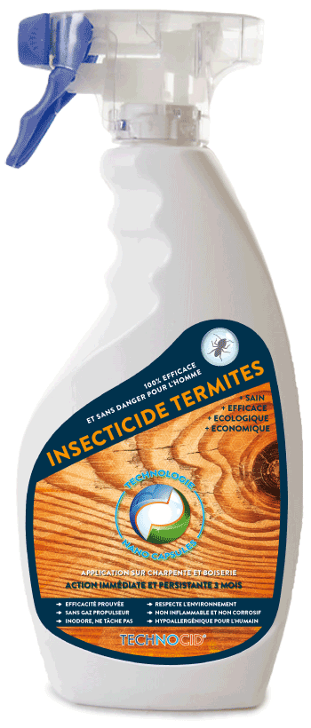 Traitement-insecticide-anti-termite-bois