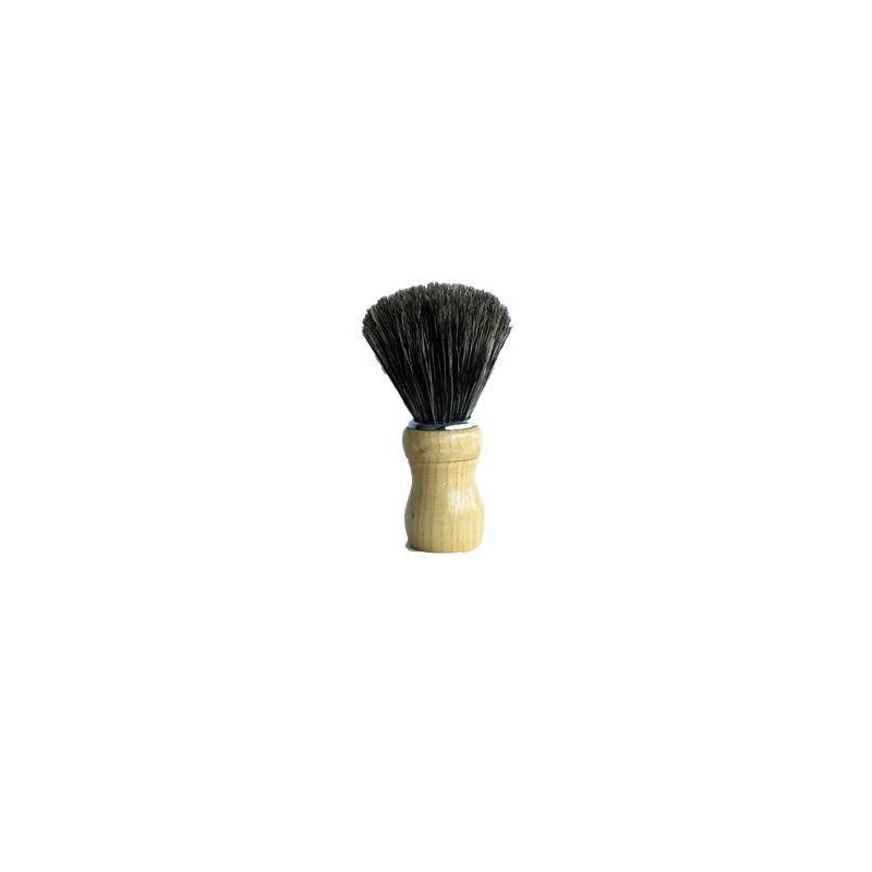 blaireau-naturel sanglier