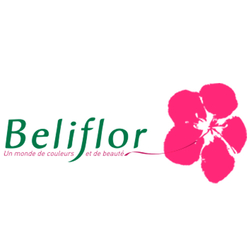 marque beliflor hygiene moderne