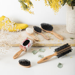 1845 Brosses en bois marque hygiene moderne