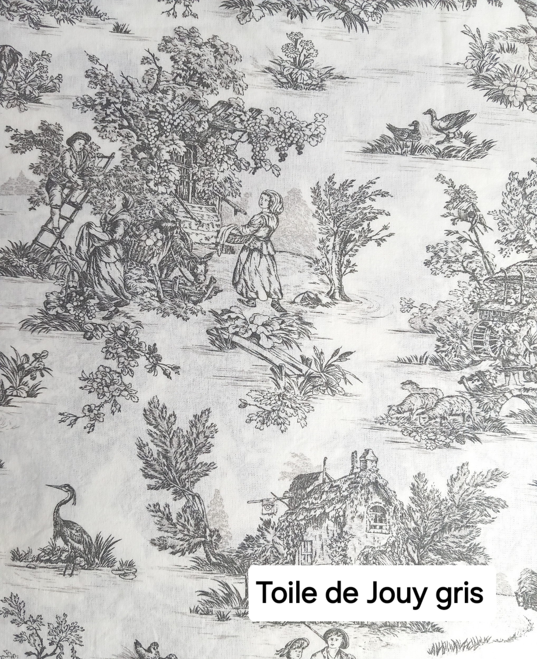 Tissu toile de Jouy gris