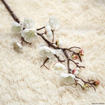 Fleurs-de-prunier-cerisier-fleurs-de-soie-artificielles-fleurs-Sakura-branches-d-arbre-maison-table-salon