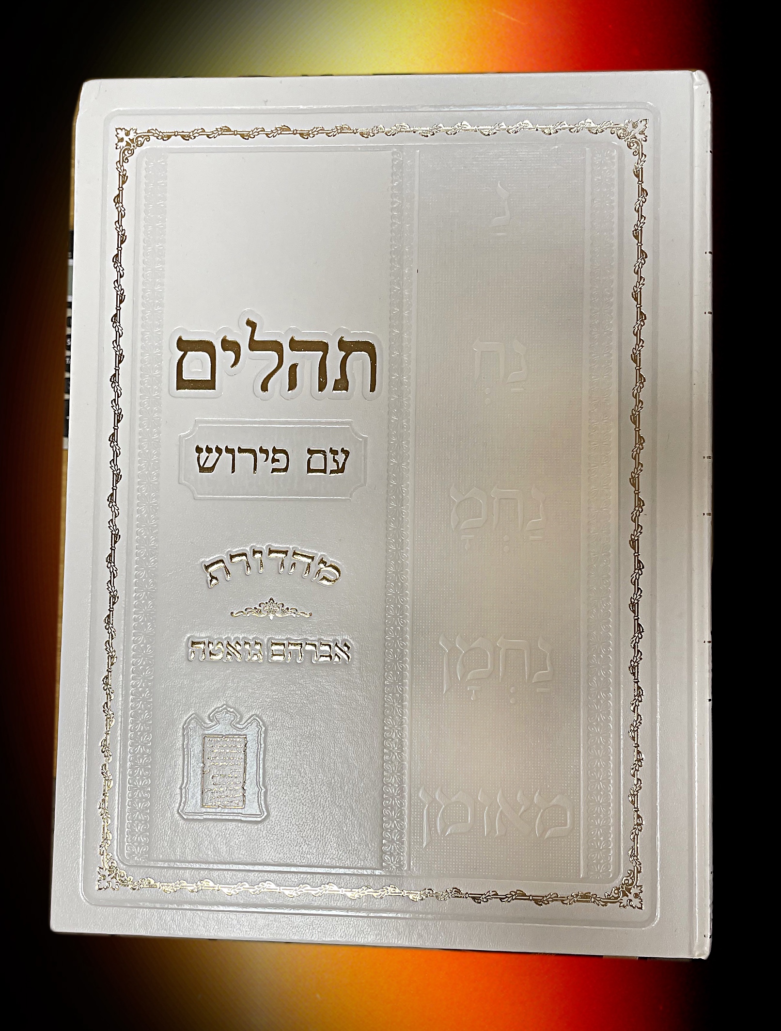 Téhilim Rabénou