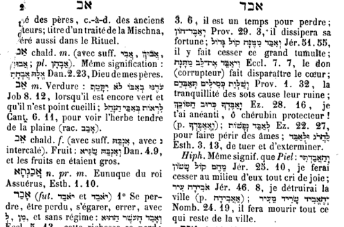 interieur dictionnaire Sander et trenel