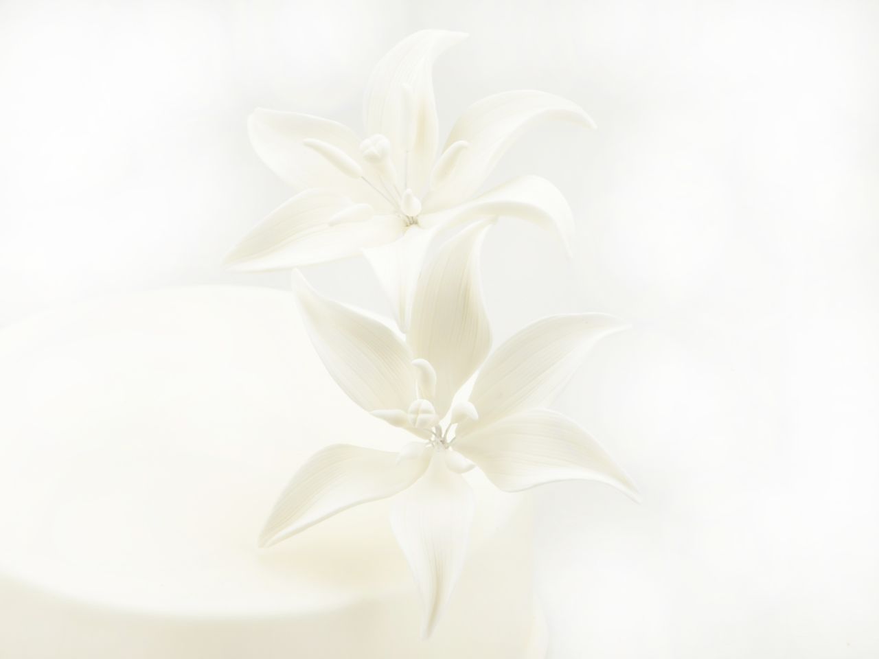 Fleur en sucre - Lis Tigre - Blanc