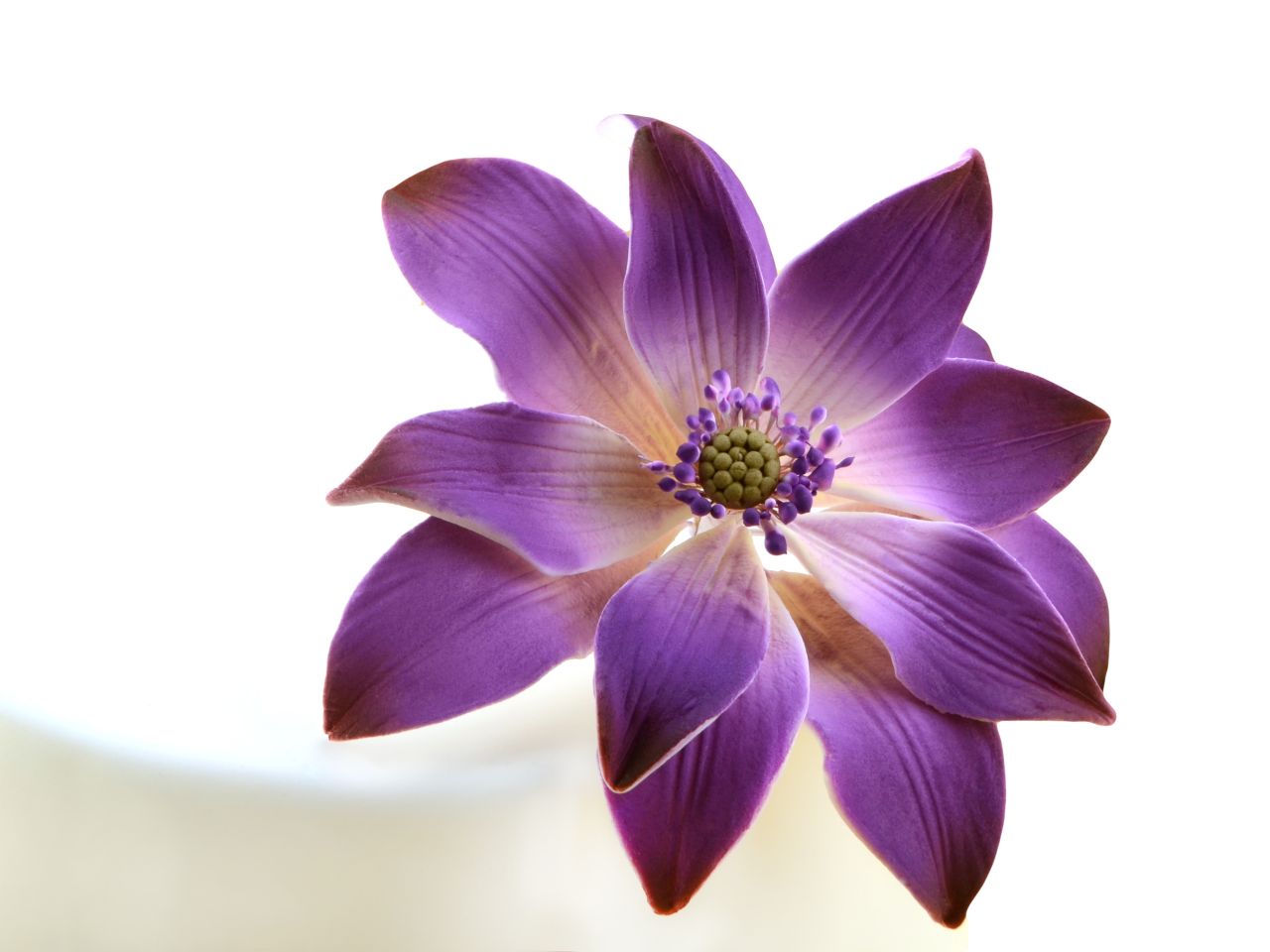 Fleur en sucre - Sea Rose 12 cm - Violet