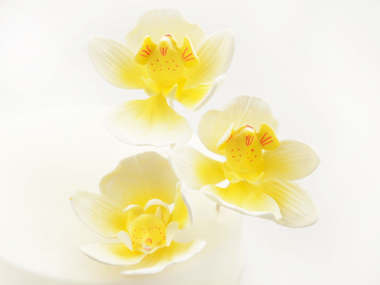 Fleur en sucre - Orchidée Moth 8 cm - Jaune