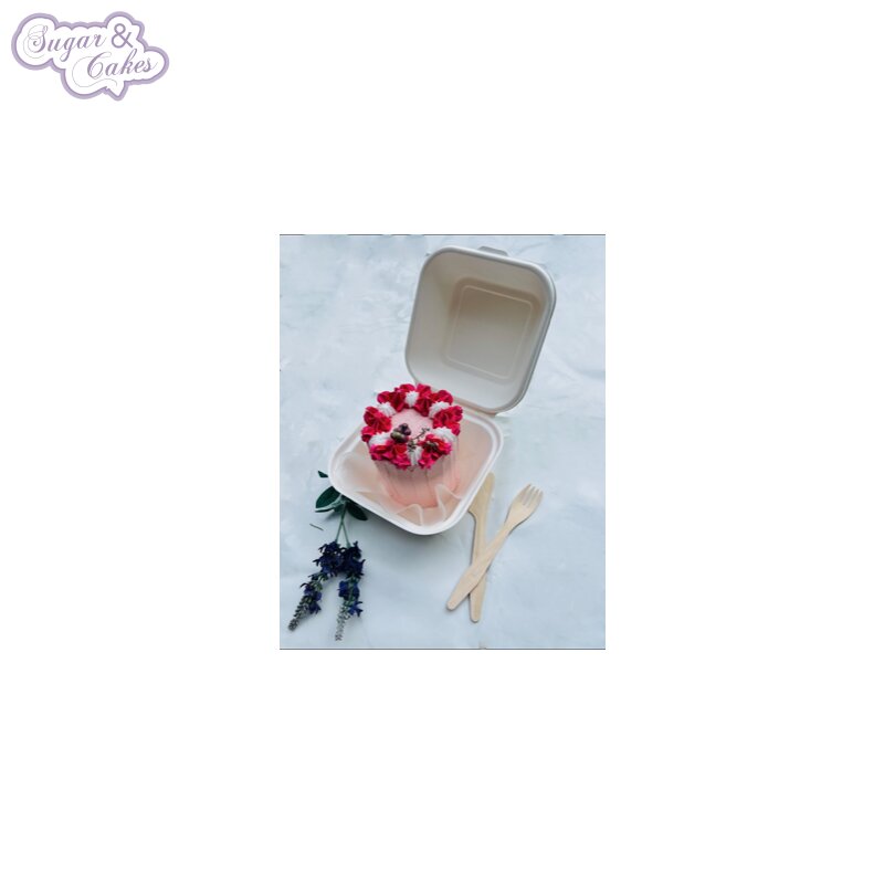 Boite à gateaux Bento Cake Lot de 5