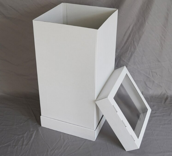 Boîte à gâteaux à fenêtre XL