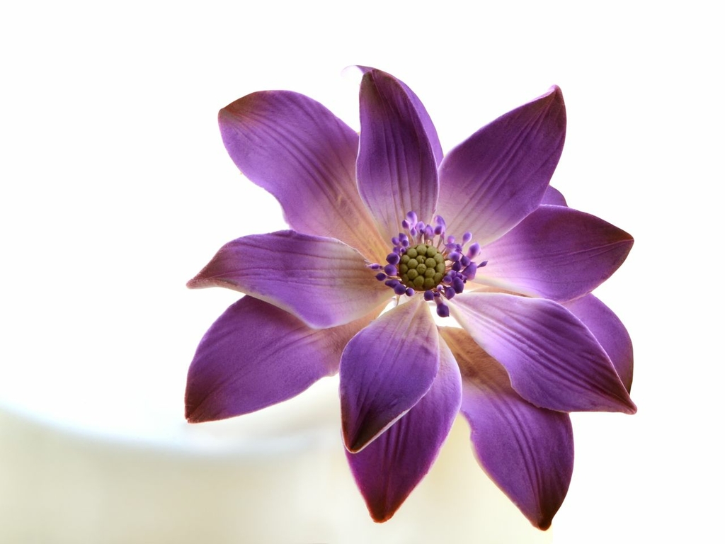 Fleurs comestibles - Mauve violette Decora IT D-0201013 : Creasweet : vente  et livraison de décoration de gâteau et tout pour les anniversaires,  multitude d'articles sous licence