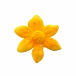 Poudre Blossom 7 ml - Tangerine