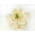 Fleur en sucre - Pivoine 11 cm - Blanc