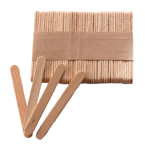 batonnets à cake pop lot de 100