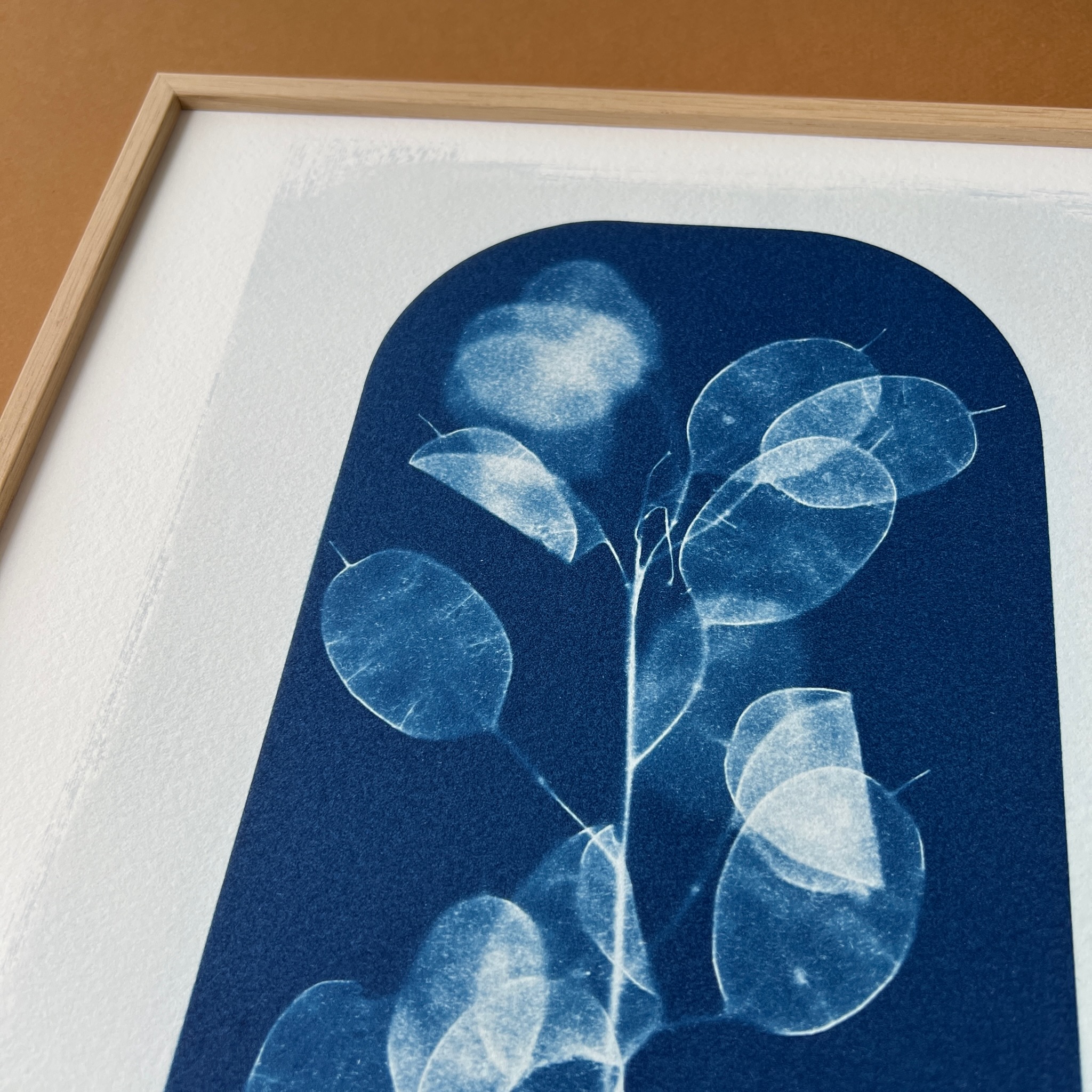 C-16-M - Cyanotype - Les Poésies Végétales - 4