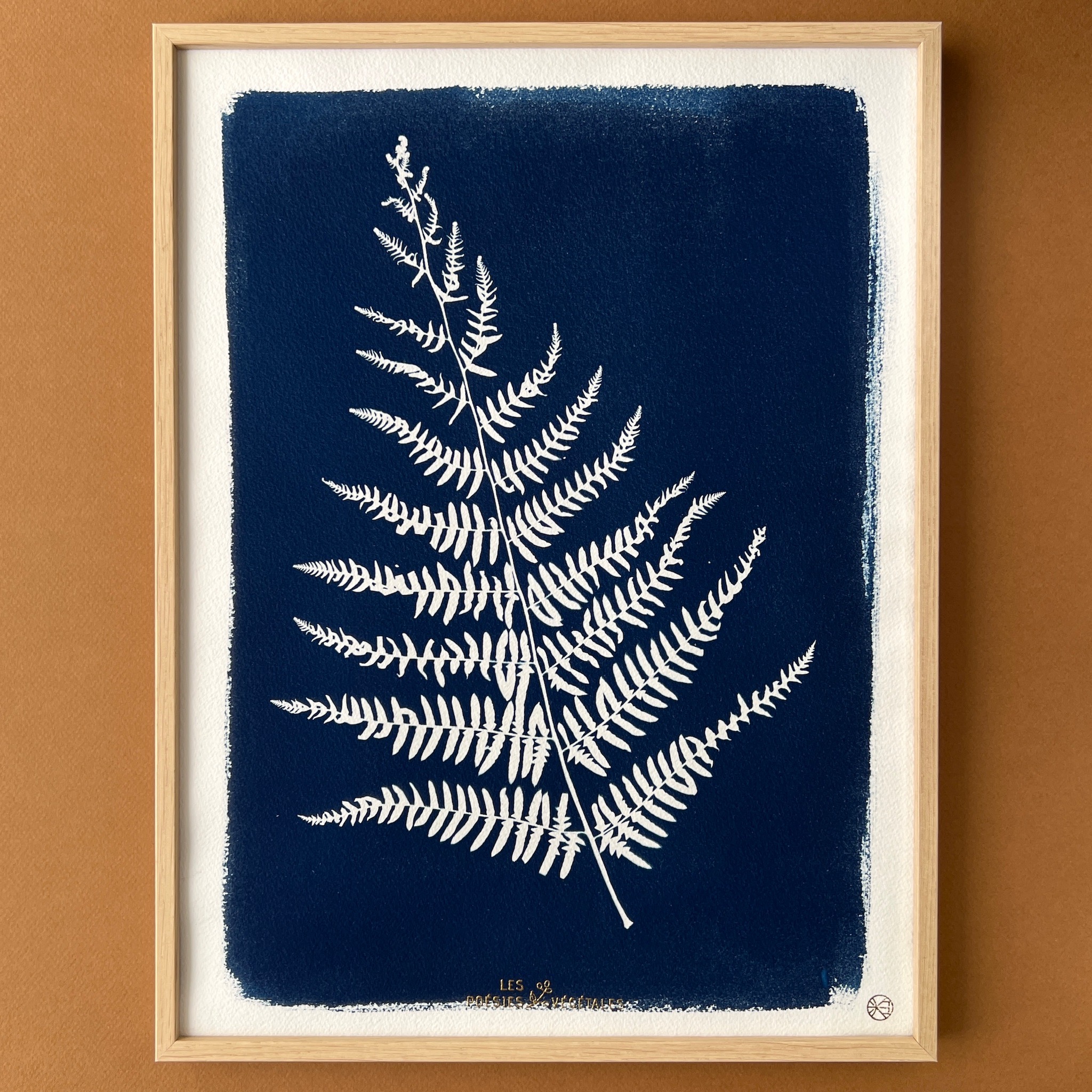C-59-M - Cyanotype - Les Poésies Végétales - 2