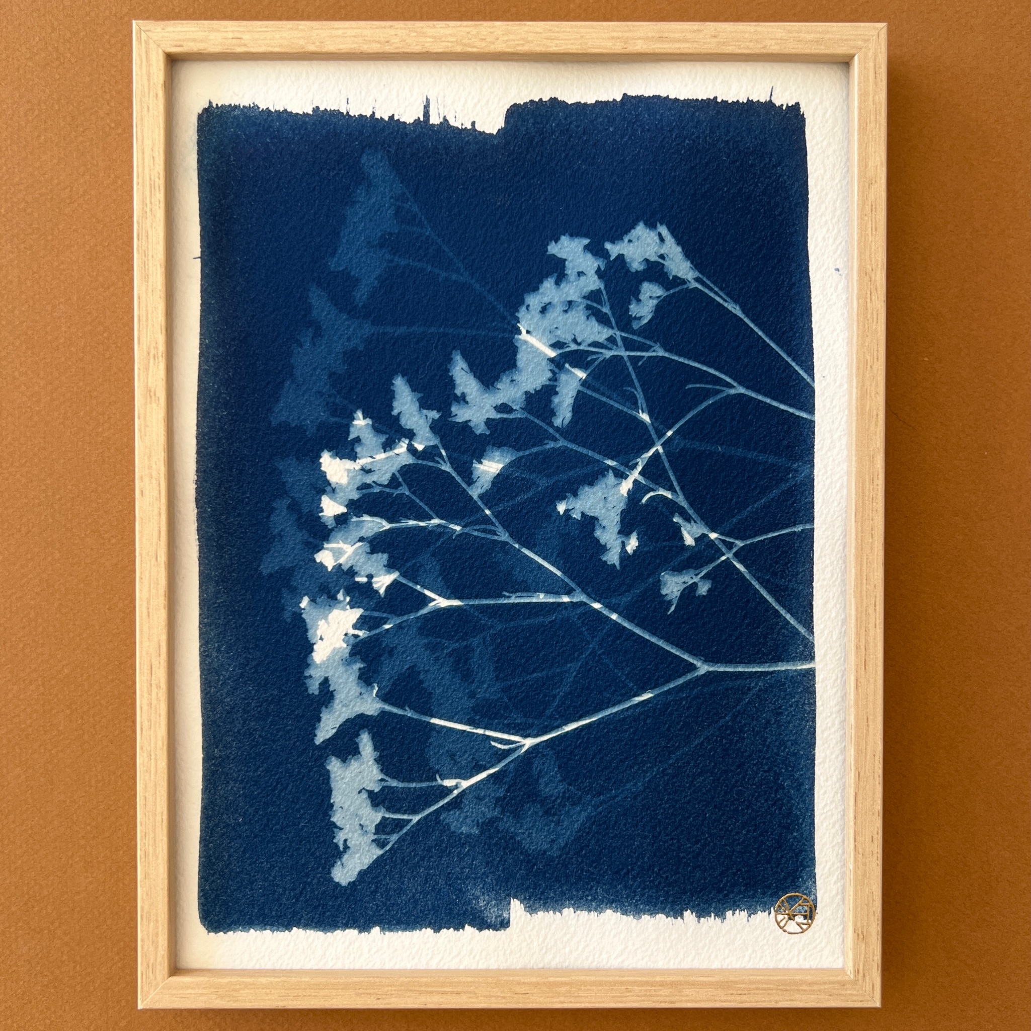 C-92-XS - Cyanotype - Fleurs - Les Poésies Végétales - 2
